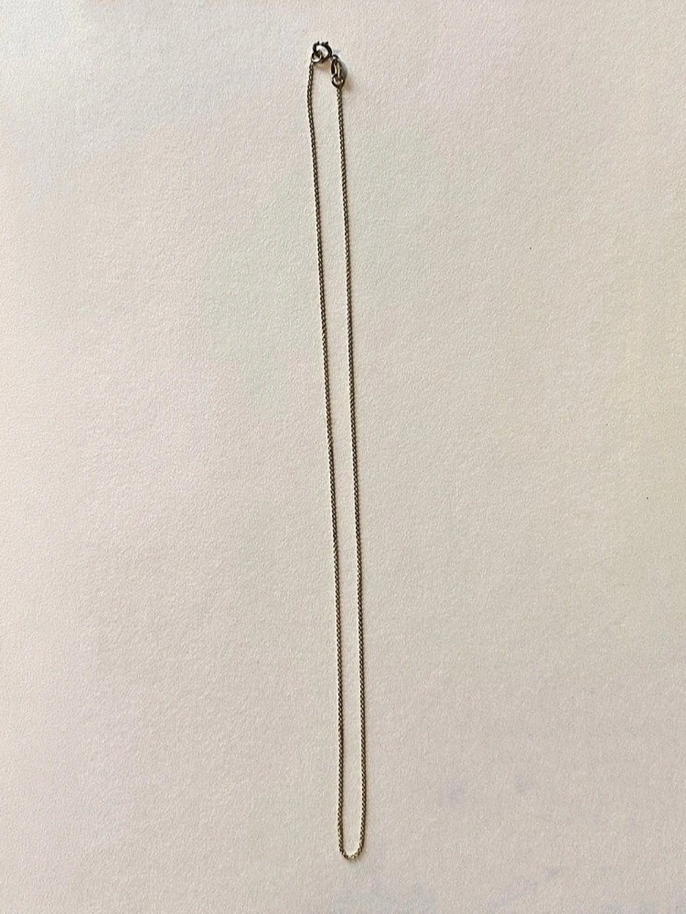 *NOT CATBIRD* 14K Gold Dainty Rolo Chain